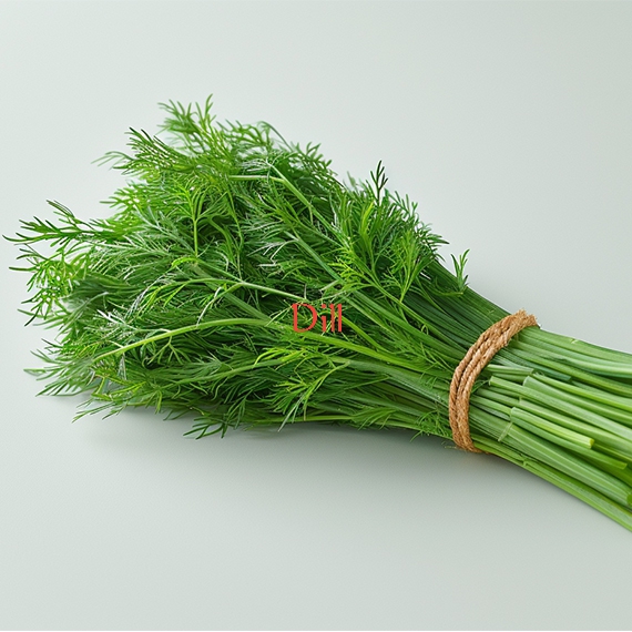 Dill Herbs for Export from Kenya