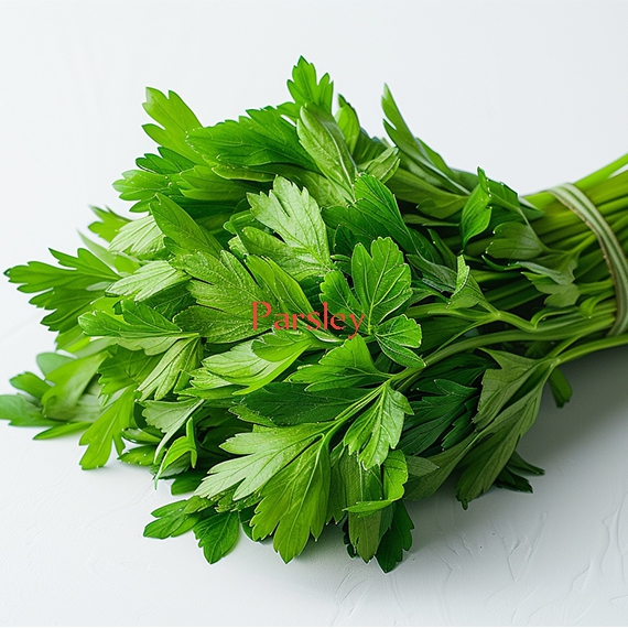 Parsley Herbs for Expert from Kenya